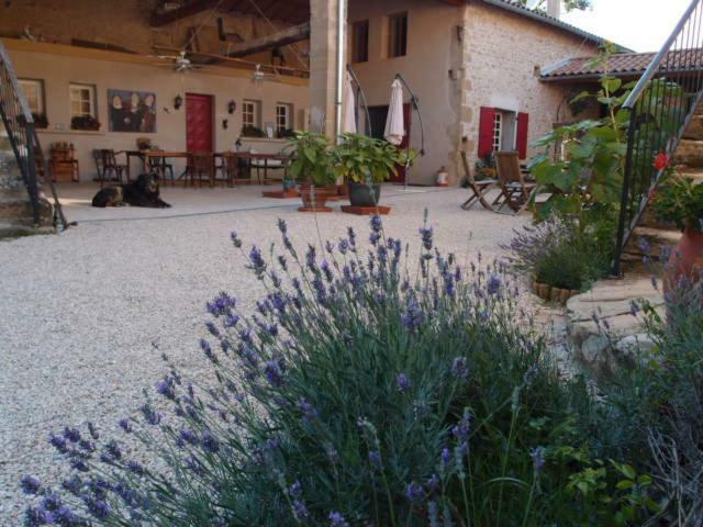 Ferme Robin Bed & Breakfast Marsaz Exterior photo
